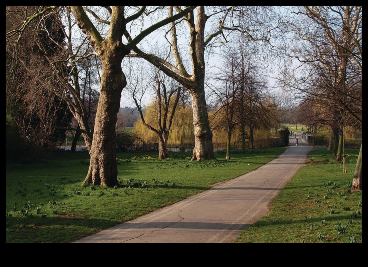 Kā dažādas kultūras uztver ainavu skaistumu?