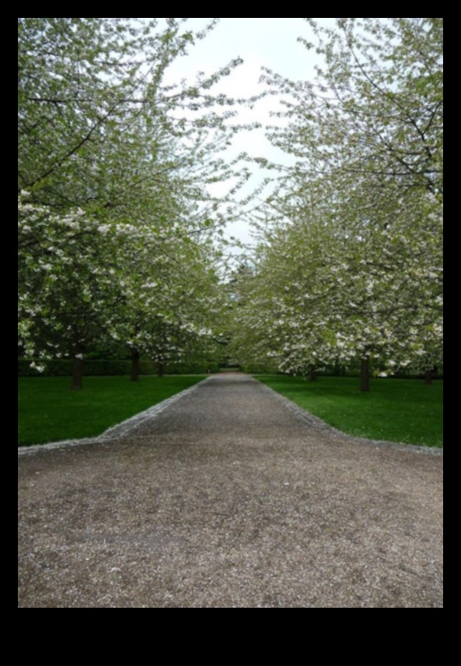 Kā dažādas kultūras uztver ainavu skaistumu?