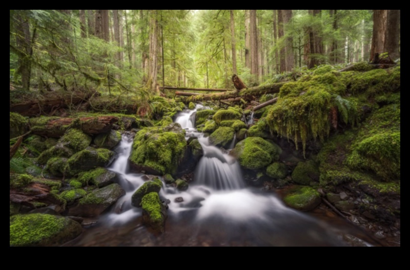 Burvīgas perspektīvas: valdzinošu ainavu kolekcija