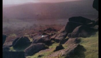 Kā ainavas mainās, pārejot no dienas uz nakti?