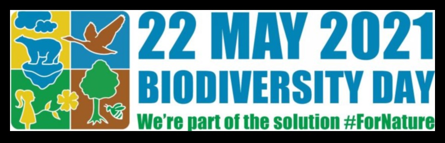 Daudzveidības karstie punkti: apspriestās bioloģiskās daudzveidības aizsardzības teritorijas