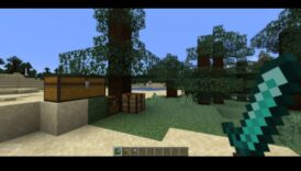 Pikseļu pilnība: parastu kadru pārvēršana meistarīgos darbos